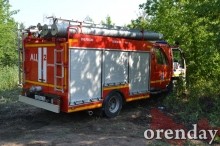 Под Оренбургом Протопоповская роща превратилась в выжженную пустыню Под Оренбургом Протопоповская роща превратилась в выжженную пустыню