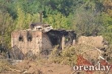 Под Оренбургом Протопоповская роща превратилась в выжженную пустыню Под Оренбургом Протопоповская роща превратилась в выжженную пустыню