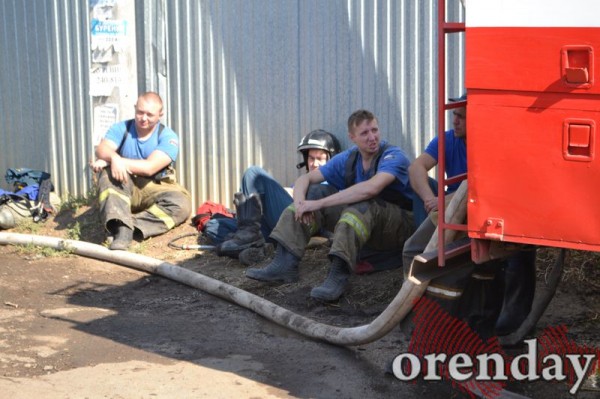 Под Оренбургом Протопоповская роща превратилась в выжженную пустыню Под Оренбургом Протопоповская роща превратилась в выжженную пустыню