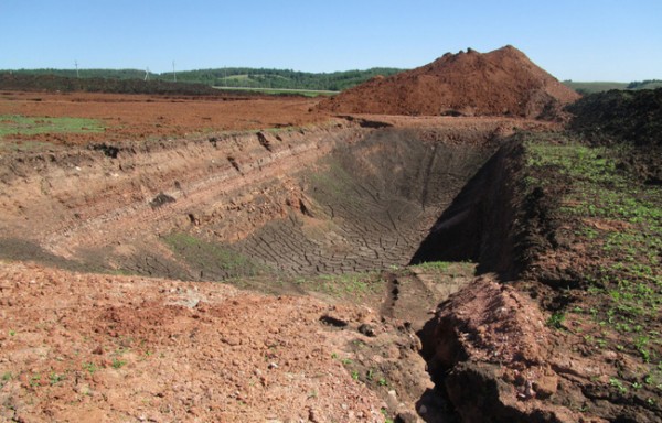 Испортил землю на 5 млн. рублей: предприниматель из Матвеевского района привлечен к ответственности