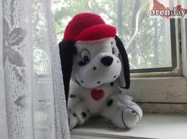 Жительница Новосергиевского района выплачивала детям алименты в размере 13 и 20 рублей