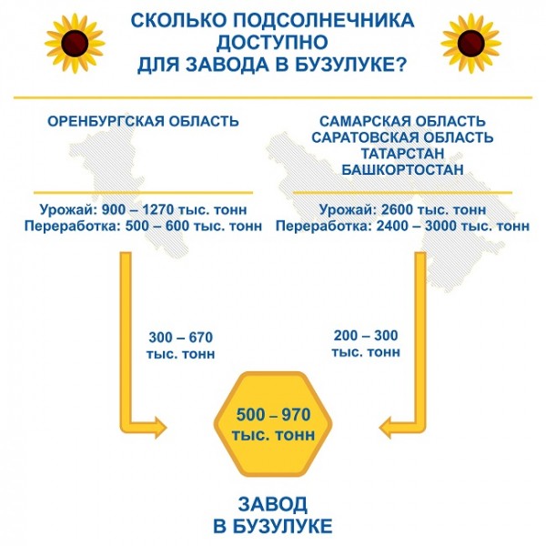 Зачем Оренбуржью два новых завода по переработке подсолнечника, если сырья нет