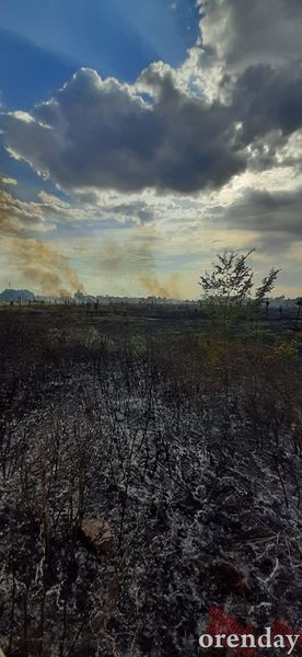 В Оренбурге на проспекте Победы полыхало кладбище