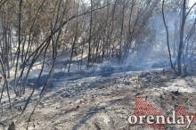 Под Оренбургом Протопоповская роща превратилась в выжженную пустыню Под Оренбургом Протопоповская роща превратилась в выжженную пустыню