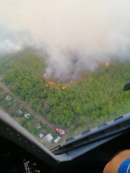 Под Оренбургом Протопоповская роща превратилась в выжженную пустыню Под Оренбургом Протопоповская роща превратилась в выжженную пустыню