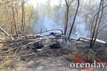 Под Оренбургом Протопоповская роща превратилась в выжженную пустыню Под Оренбургом Протопоповская роща превратилась в выжженную пустыню