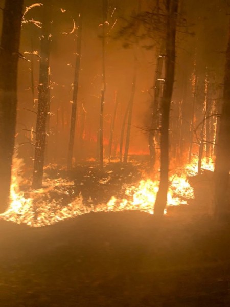 Андрей Латыпов об огненном шторме в Бузулукском бору: Больше 100 гектаров леса на наших глазах выгорело как спичка Андрей Латыпов об огненном шторме в Бузулукском бору: Больше 100 гектаров леса на наших глазах выгорело как спичка
