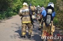 Под Оренбургом Протопоповская роща превратилась в выжженную пустыню Под Оренбургом Протопоповская роща превратилась в выжженную пустыню