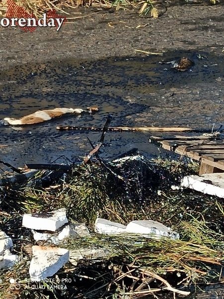 Полицейские и экологи заинтересовались гудроновым озером в Соль-Илецке