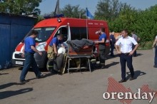 Под Оренбургом Протопоповская роща превратилась в выжженную пустыню Под Оренбургом Протопоповская роща превратилась в выжженную пустыню