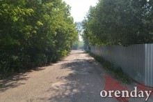 Под Оренбургом Протопоповская роща превратилась в выжженную пустыню Под Оренбургом Протопоповская роща превратилась в выжженную пустыню