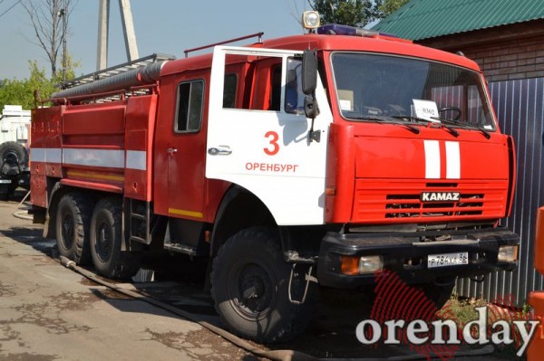 Под Оренбургом Протопоповская роща превратилась в выжженную пустыню Под Оренбургом Протопоповская роща превратилась в выжженную пустыню