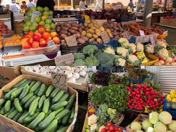 В Оренбуржье валовый сбор овощей ожидается на уровне прошлого года В Оренбуржье валовый сбор овощей ожидается на уровне прошлого года