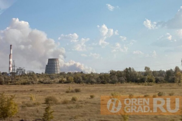 Под Оренбургом горит Протопоповская роща