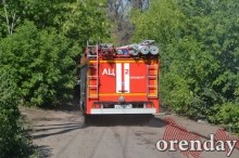 Под Оренбургом Протопоповская роща превратилась в выжженную пустыню Под Оренбургом Протопоповская роща превратилась в выжженную пустыню