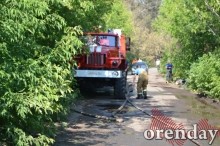 Под Оренбургом Протопоповская роща превратилась в выжженную пустыню Под Оренбургом Протопоповская роща превратилась в выжженную пустыню