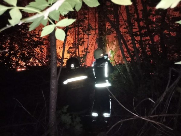 Площадь пожара в Протопоповской роще превысила три гектара