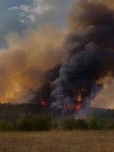 Вблизи Абдулино полыхает лес Вблизи Абдулино полыхает лес