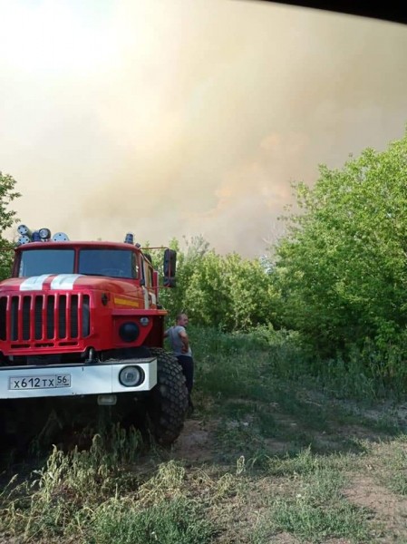 Под Оренбургом Протопоповская роща превратилась в выжженную пустыню Под Оренбургом Протопоповская роща превратилась в выжженную пустыню