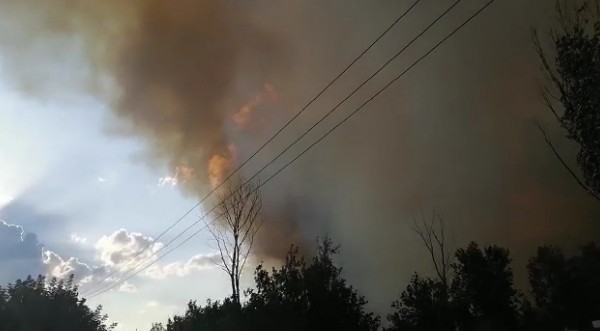 Площадь пожара в Протопоповской роще превысила три гектара