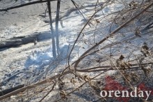 Под Оренбургом Протопоповская роща превратилась в выжженную пустыню Под Оренбургом Протопоповская роща превратилась в выжженную пустыню