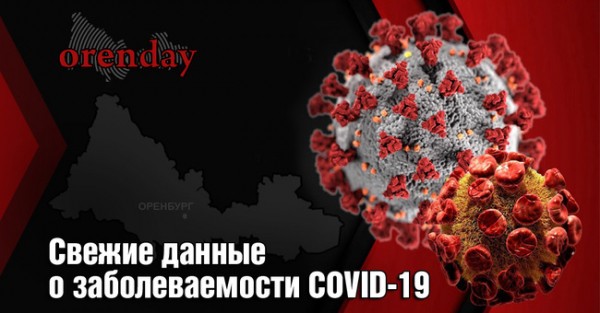 В Оренбургской области за сутки от коронавируса умерли еще 9 человек