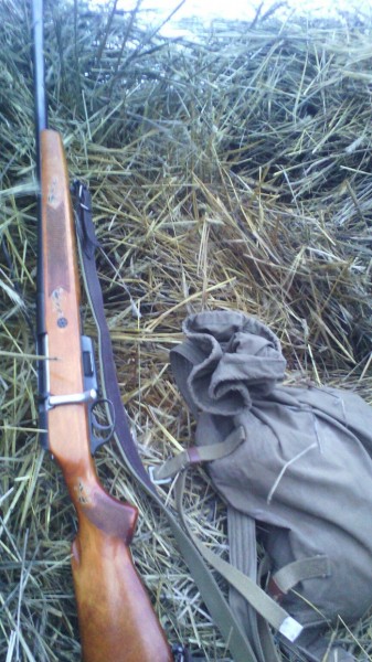 В Минприроды Оренбуржья &laquo;прозевали&raquo; сроки охоты на косулю