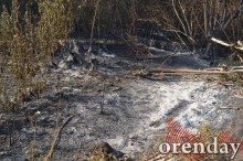 Под Оренбургом Протопоповская роща превратилась в выжженную пустыню Под Оренбургом Протопоповская роща превратилась в выжженную пустыню