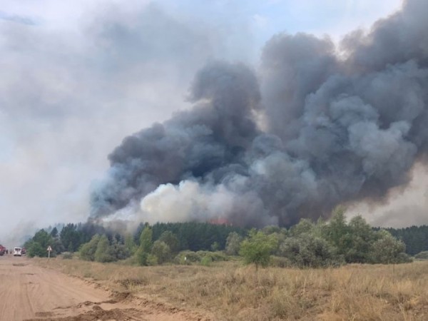 Андрей Латыпов об огненном шторме в Бузулукском бору: Больше 100 гектаров леса на наших глазах выгорело как спичка Андрей Латыпов об огненном шторме в Бузулукском бору: Больше 100 гектаров леса на наших глазах выгорело как спичка