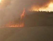 Вблизи Абдулино полыхает лес Вблизи Абдулино полыхает лес