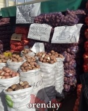 Цены на овощи нового урожая в Оренбурге &laquo;кусаются&raquo;