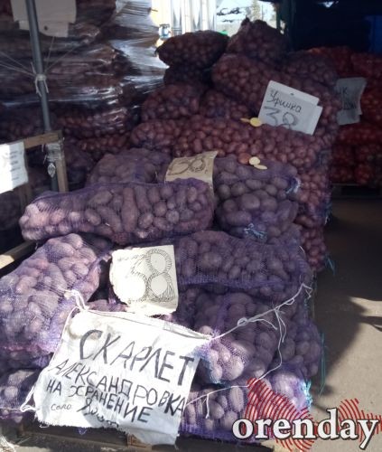 Цены на овощи нового урожая в Оренбурге &laquo;кусаются&raquo;