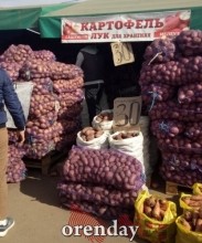 Цены на овощи нового урожая в Оренбурге &laquo;кусаются&raquo;