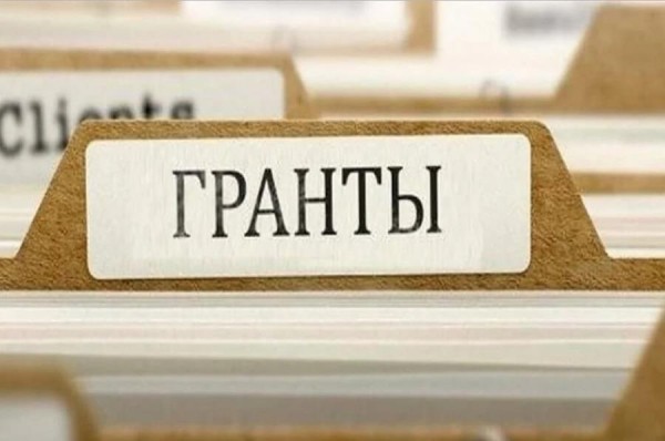 Что не так с региональным конкурсом президентских грантов? В Оренбуржье активно обсуждают итоги работы с НКО Что не так с региональным конкурсом президентских грантов? В Оренбуржье активно обсуждают итоги работы с НКО