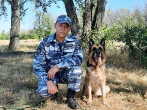 Преступник в ковре и спасенный пенсионер. Оренбургские кинологи МВД рассказали о своих четвероногих напарниках