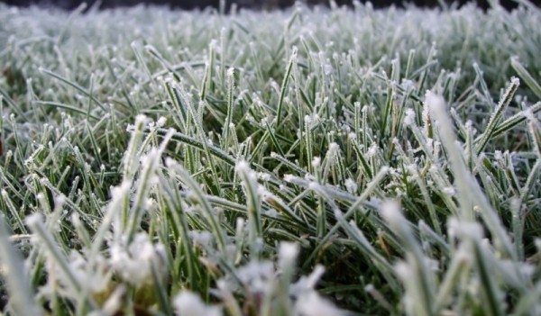 В Оренбуржье в ночь на 13 сентября ожидаются заморозки до &ndash; 4 градусов