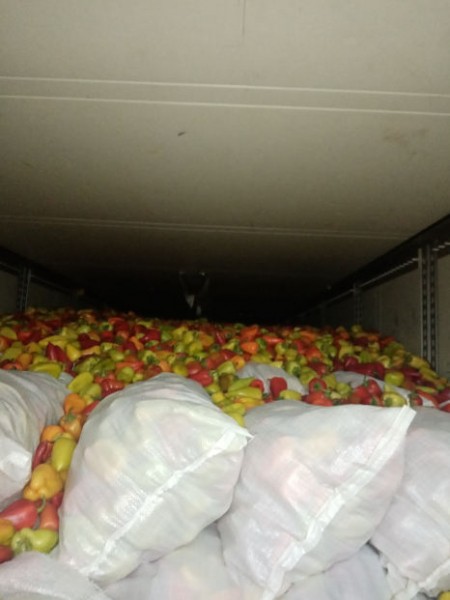 В Оренбургскую область снова не разрешили ввезти овощи и фрукты из Казахстана