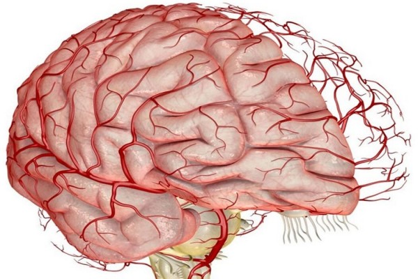 У пациентов, переболевших коронавирусом, замедляются мозговые процессы
