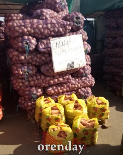 Цены на овощи нового урожая в Оренбурге &laquo;кусаются&raquo;