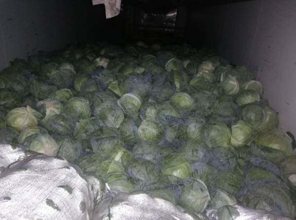 В Оренбургскую область снова не разрешили ввезти овощи и фрукты из Казахстана