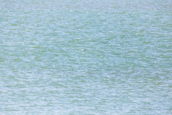 В Бузулуке погибла упавшая в реку 87-летняя бабушка (18+) В Бузулуке погибла упавшая в реку 87-летняя бабушка (18+)