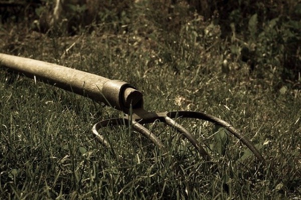 В Шарлыкском районе пенсионер едва не насадил на вилы подругу В Шарлыкском районе пенсионер едва не насадил на вилы подругу