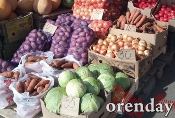Цены на овощи нового урожая в Оренбурге &laquo;кусаются&raquo;