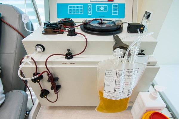 Врачи областной станции переливания крови впервые в Оренбуржье заготовили аутоплазму