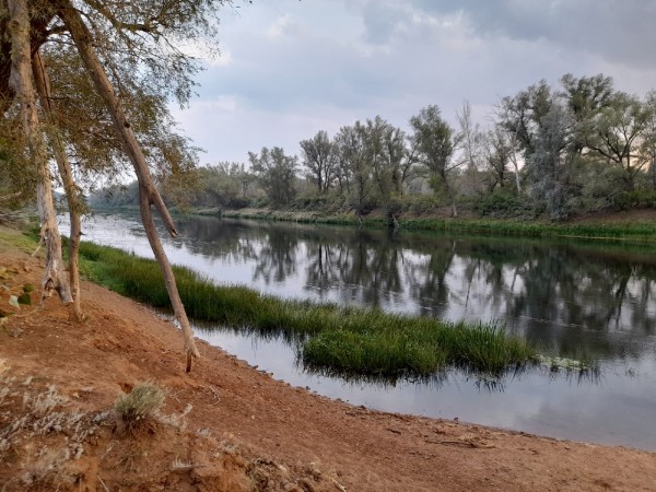 Антициклон вернул в Оренбуржье тепло и солнце Антициклон вернул в Оренбуржье тепло и солнце