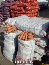 Цены на овощи нового урожая в Оренбурге &laquo;кусаются&raquo;