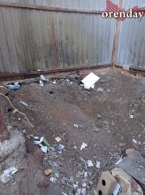 В Оренбурге на мусорной площадке поселились полчища крыс