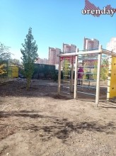 В Оренбурге на мусорной площадке поселились полчища крыс