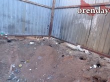 В Оренбурге на мусорной площадке поселились полчища крыс