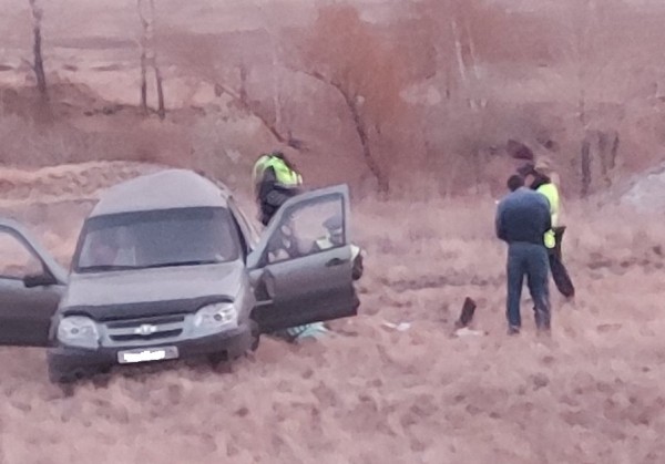 На трассе Оренбург-Орск Niva улетела в кювет. Водитель уснул рядом